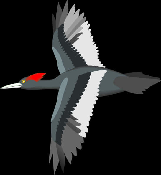 Red Crested Waterbird Illustration PNG Image