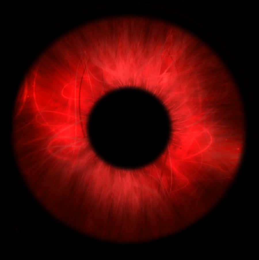 Red Eye Closeup Photography PNG Image