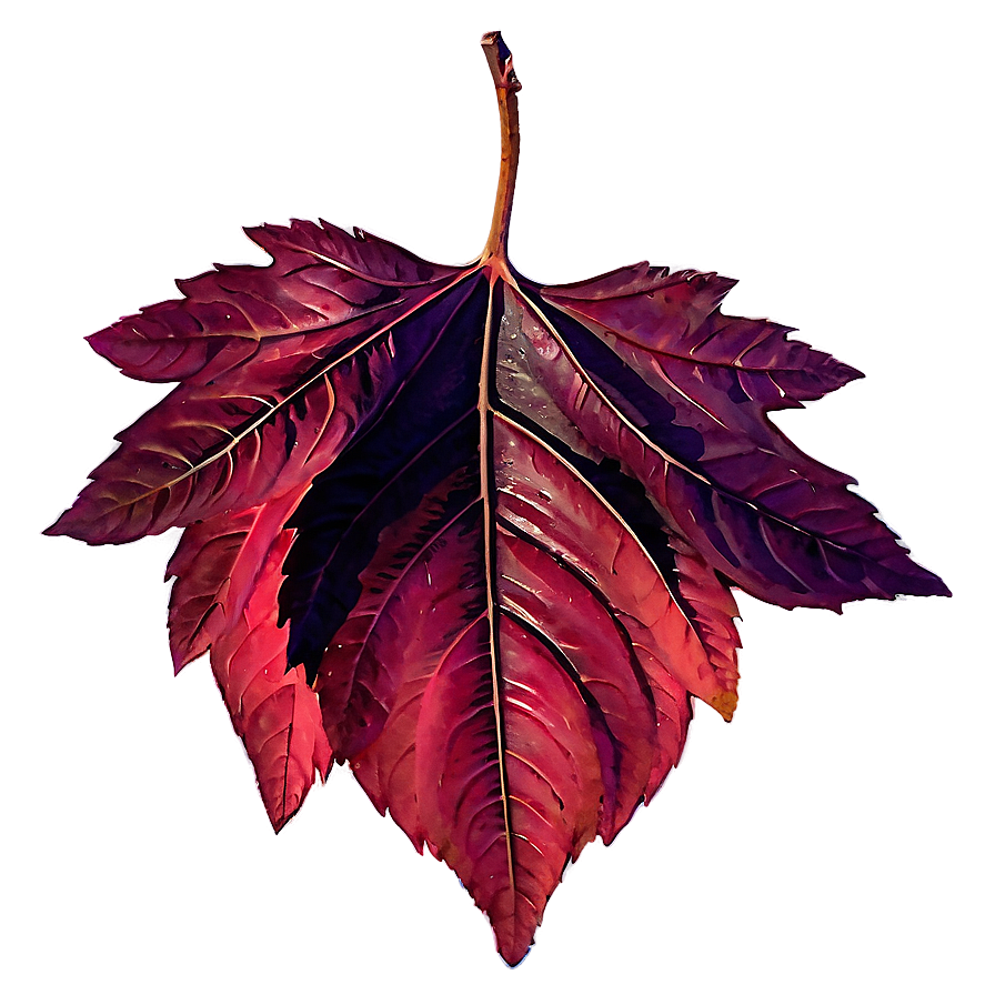 Red Fall Foliage Leaf Png 05252024 PNG Image