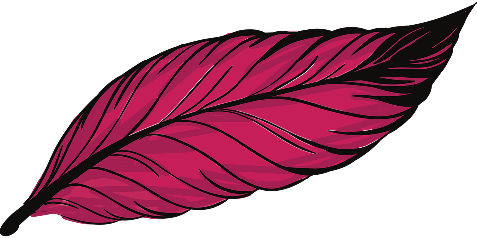 Red Feather Illustration.png PNG Image