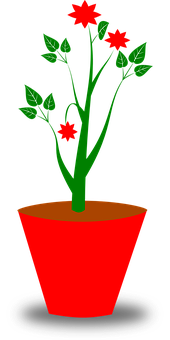 Red Flower Potted Plant Graphic PNG Image