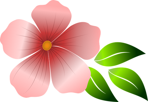 Red Flower Vector Illustration PNG Image