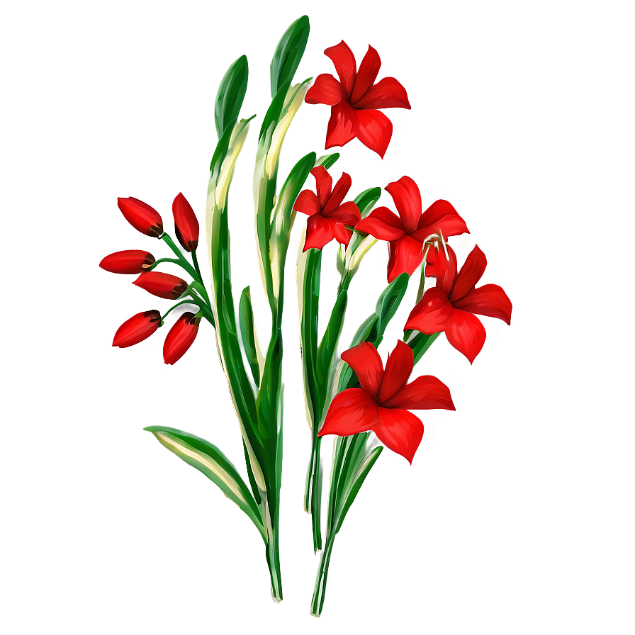 Red Flowers B PNG Image