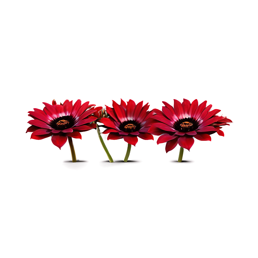 Red Flowers C PNG Image