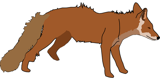 Red Fox Silhouette PNG Image