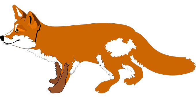 Red Fox Vector Illustration PNG Image