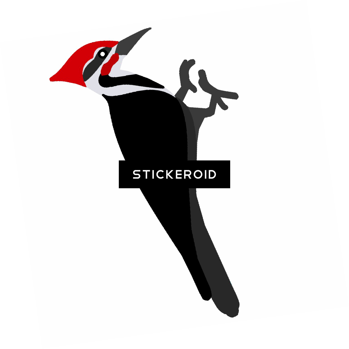 Red Headed Woodpecker Illustration.png PNG Image