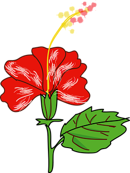 Red Hibiscus Vector Illustration PNG Image