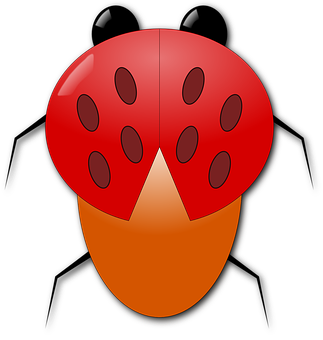 Red Ladybug Illustration PNG Image