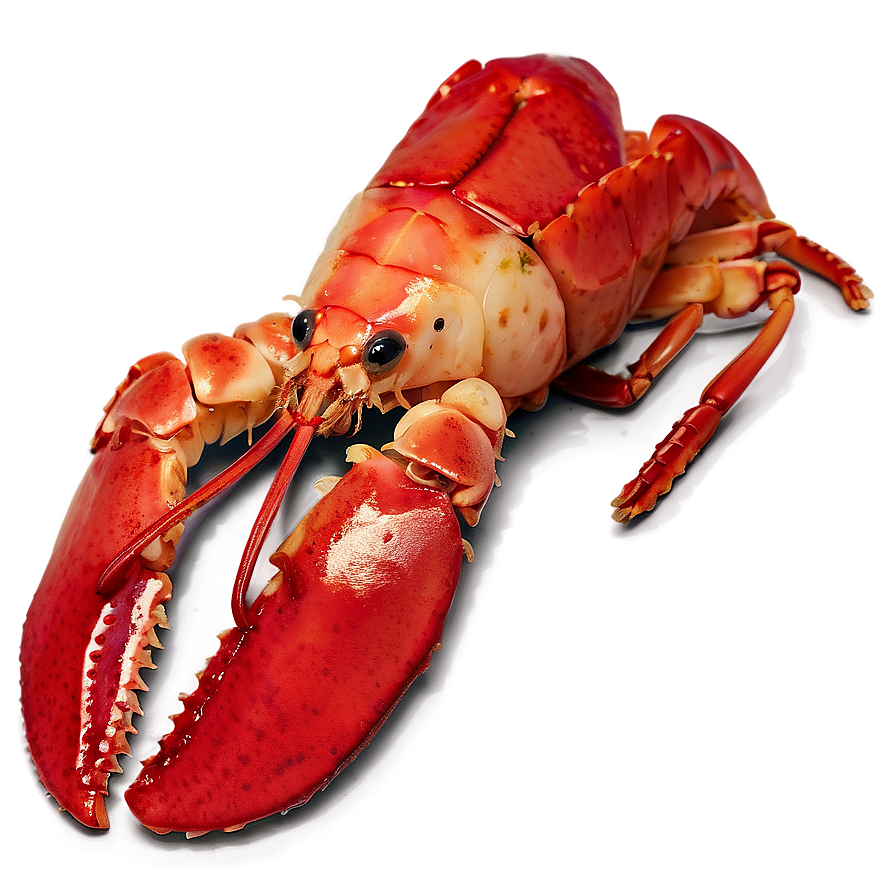 Red Lobster Culinary Png Jnw PNG Image