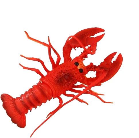 Red Lobster Illustration PNG Image