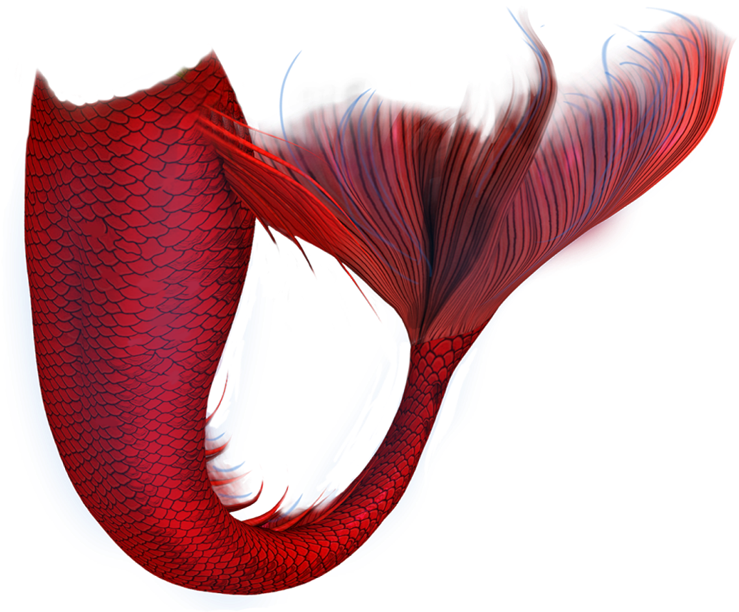 Red Mermaid Tail Artwork.png PNG Image