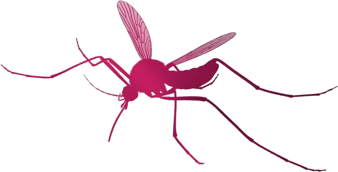 Red Mosquito Illustration PNG Image