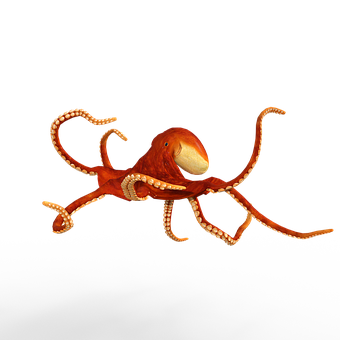 Red Octopus Black Background PNG Image