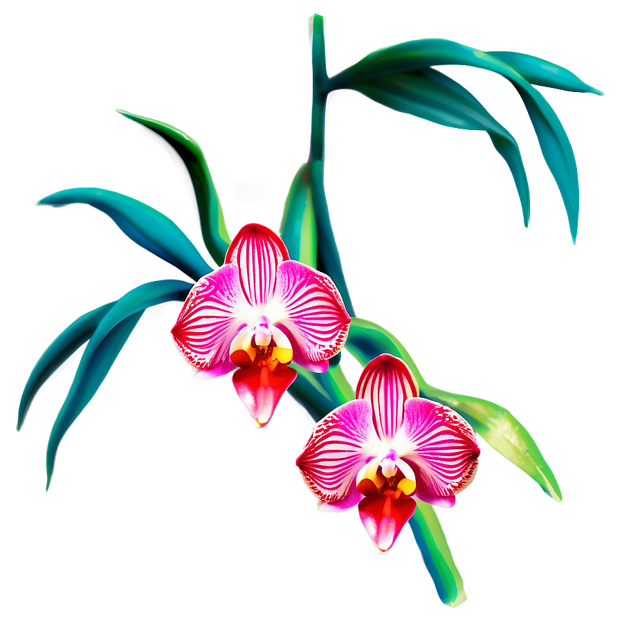 Red Orchid Png Vgy PNG Image