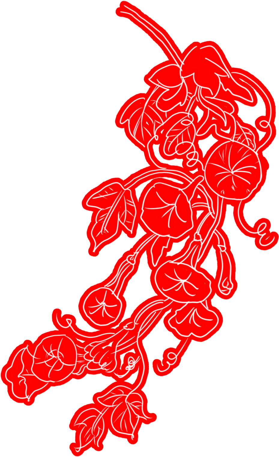 Red Outlined Morning Gloryon Blue PNG Image