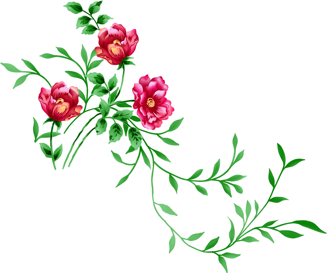 Red Peony Flower Clipart PNG Image