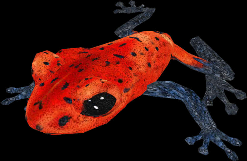 Red Poison Dart Frog Black Background PNG Image