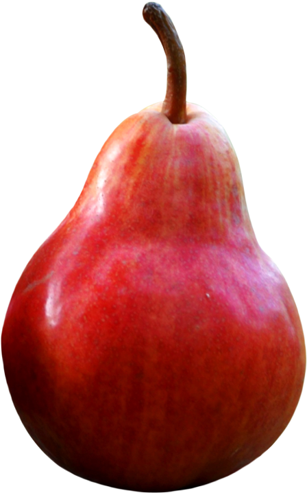 Red Ripe Pear Fruit PNG Image