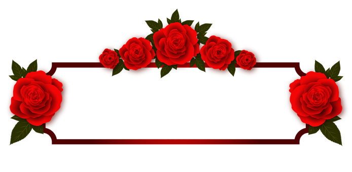 Red Rose Banner Design PNG Image