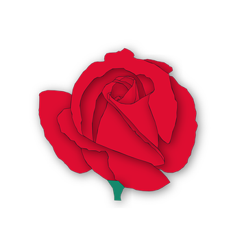 Red Rose Black Background PNG Image