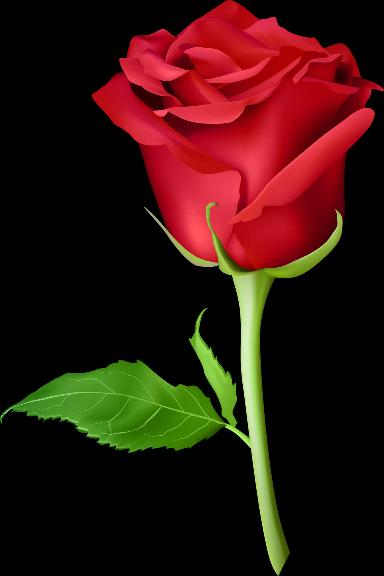 Red Rose Black Background PNG Image