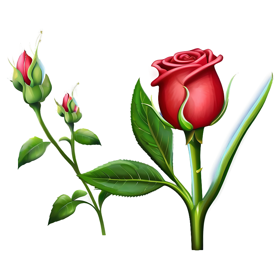 Red Rose Bud Png 05242024 PNG Image