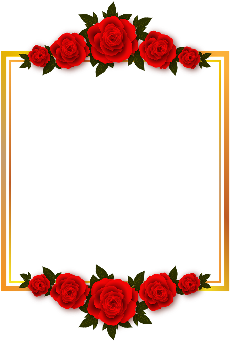 Red Rose Frame Design PNG Image