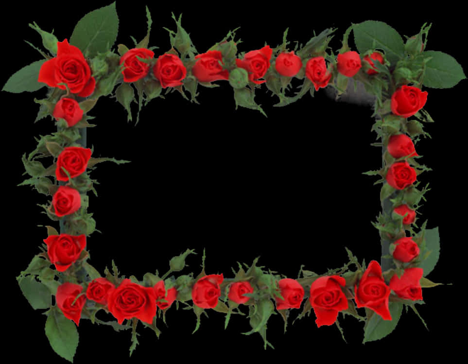 Red Rose Frameon Black Background PNG Image