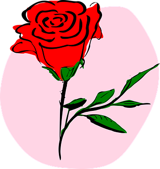 Red Rose Illustration PNG Image