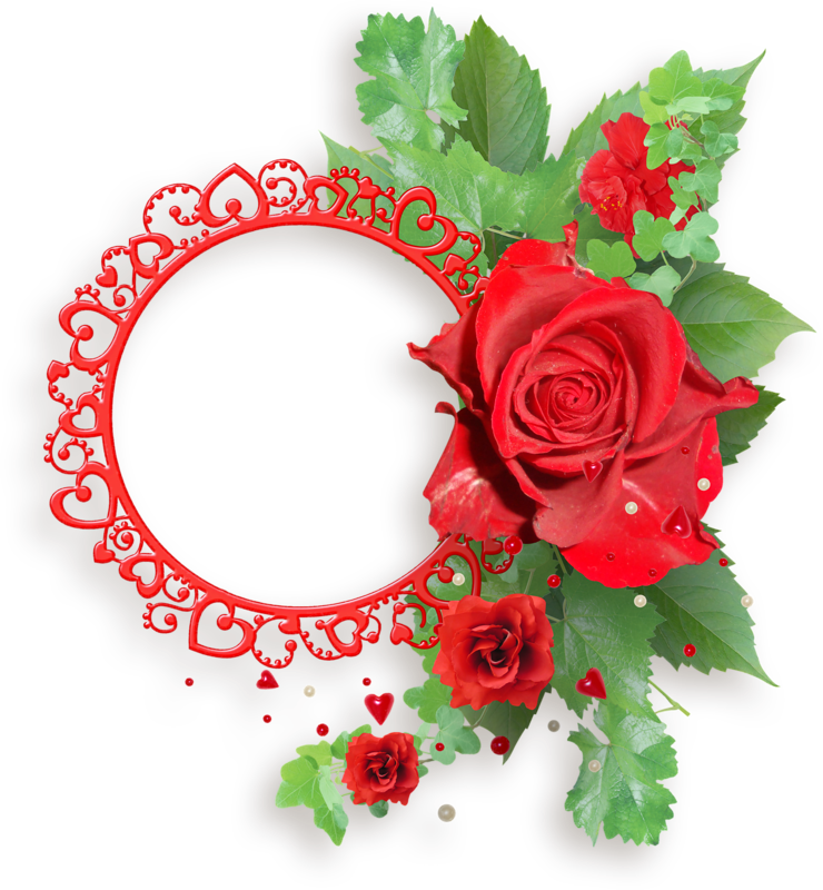 Red Rose Love Frame P N G PNG Image