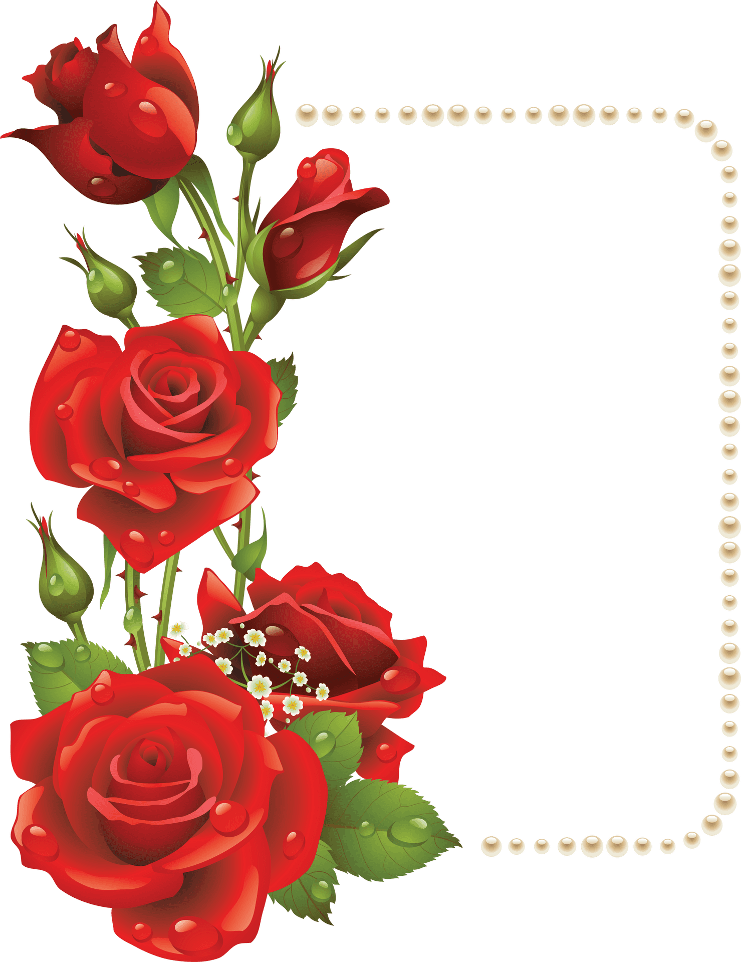 Red Rose Pearl Frame Design PNG Image