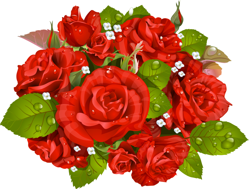 Red Rose Vector Bouquet PNG Image