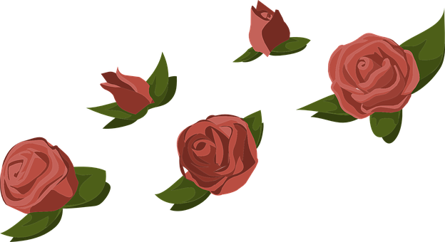 Red Roses Black Background Illustration PNG Image