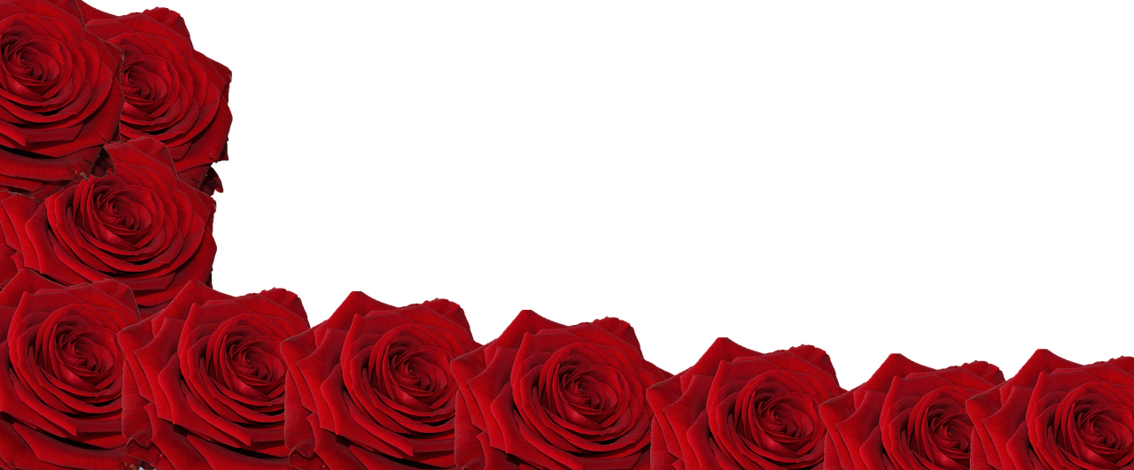 Red Roses Black Background PNG Image