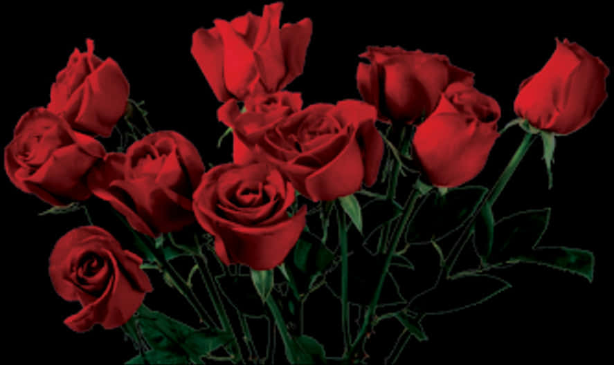 Red Roses Bouquet Dark Background PNG Image