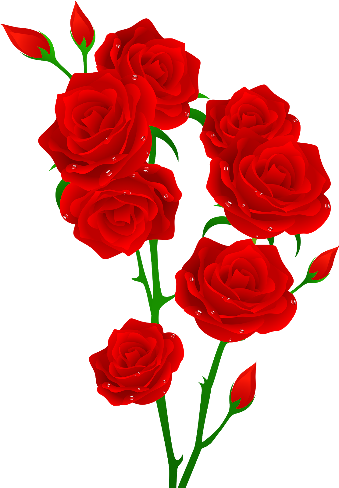 Red Roses Vector Illustration PNG Image