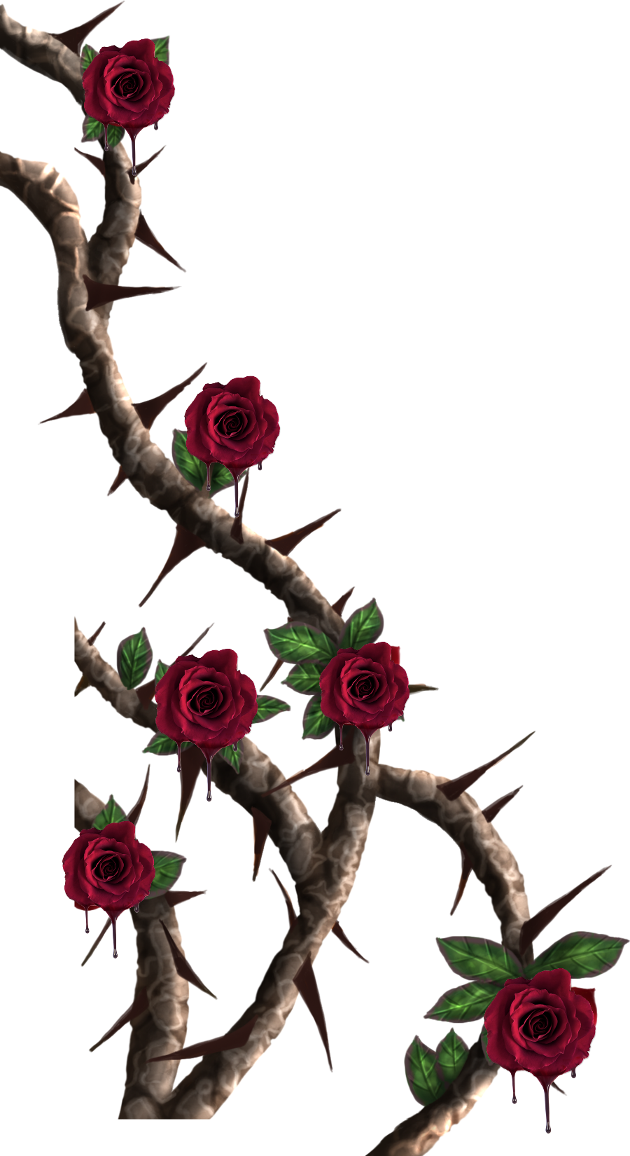 Red Roseson Thorny Branches PNG Image