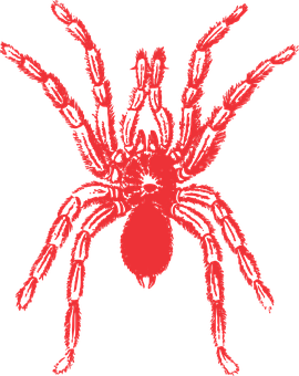 Red Silhouette Spideron Black Background PNG Image