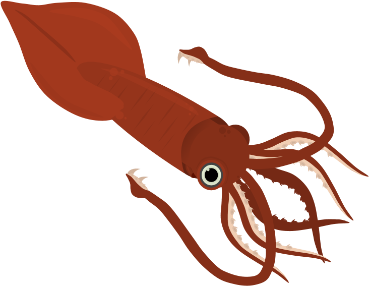 Red Squid Illustration PNG Image