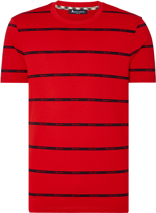 Red Striped Crewneck T Shirt PNG Image