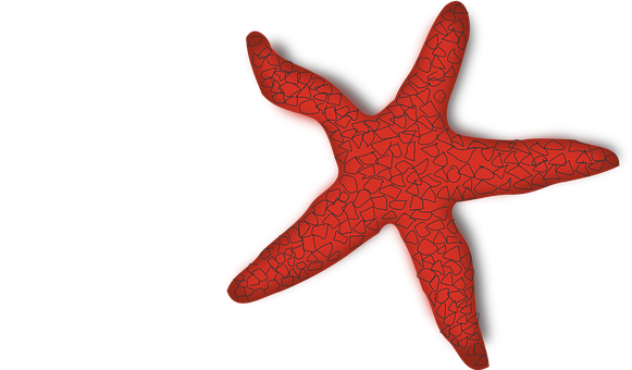 Red Textured Starfishon Black Background PNG Image