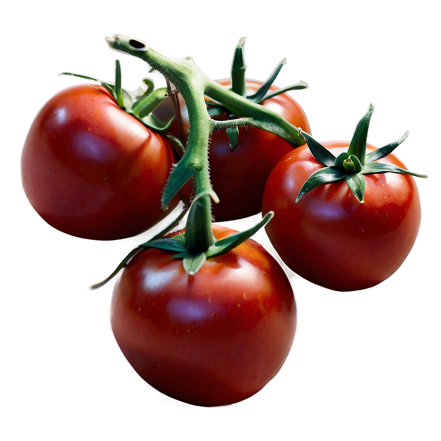 Red Tomato Png 15 PNG Image