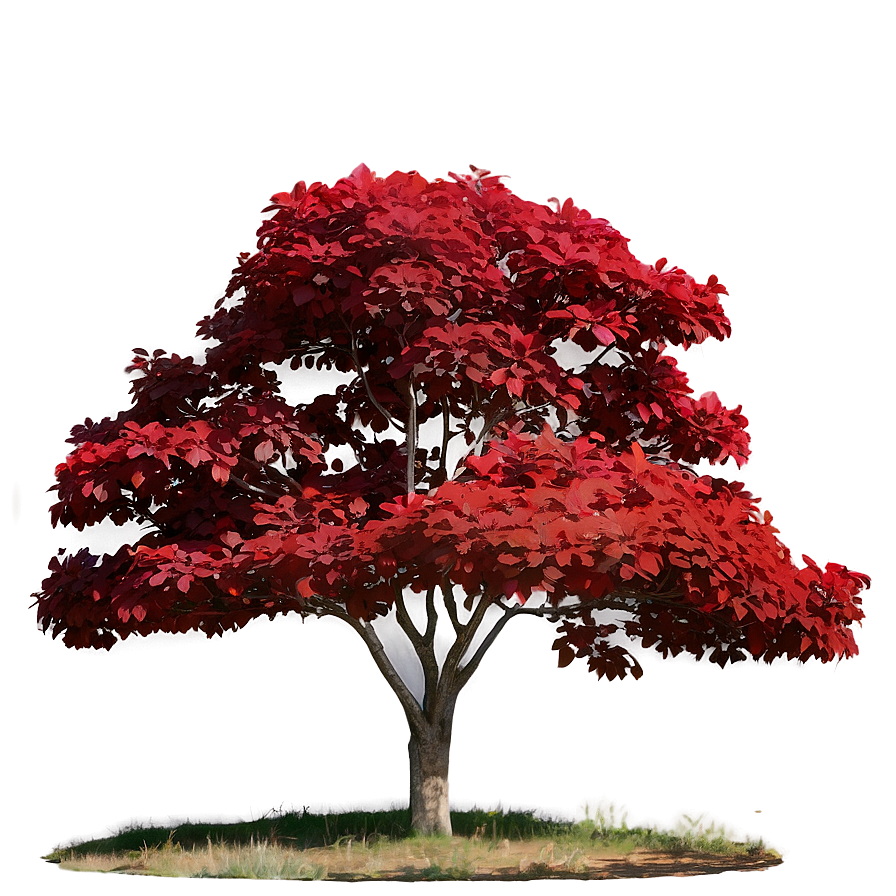 Red Tree In Countryside Png 47 PNG Image