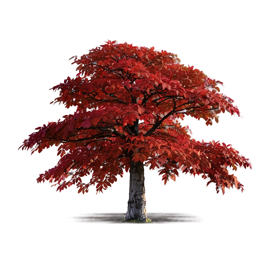 Red Tree On Hillside Png 25 PNG Image