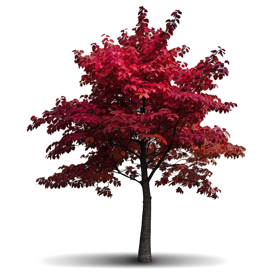 Red Tree With Colorful Background Png 22 PNG Image