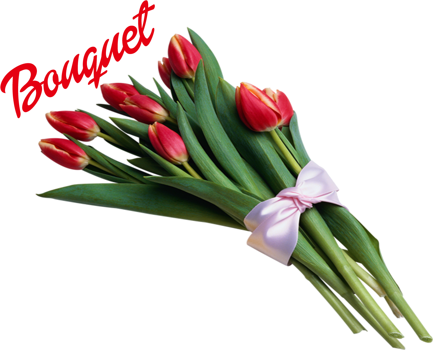 Red Tulip Bouquetwith Bow PNG Image