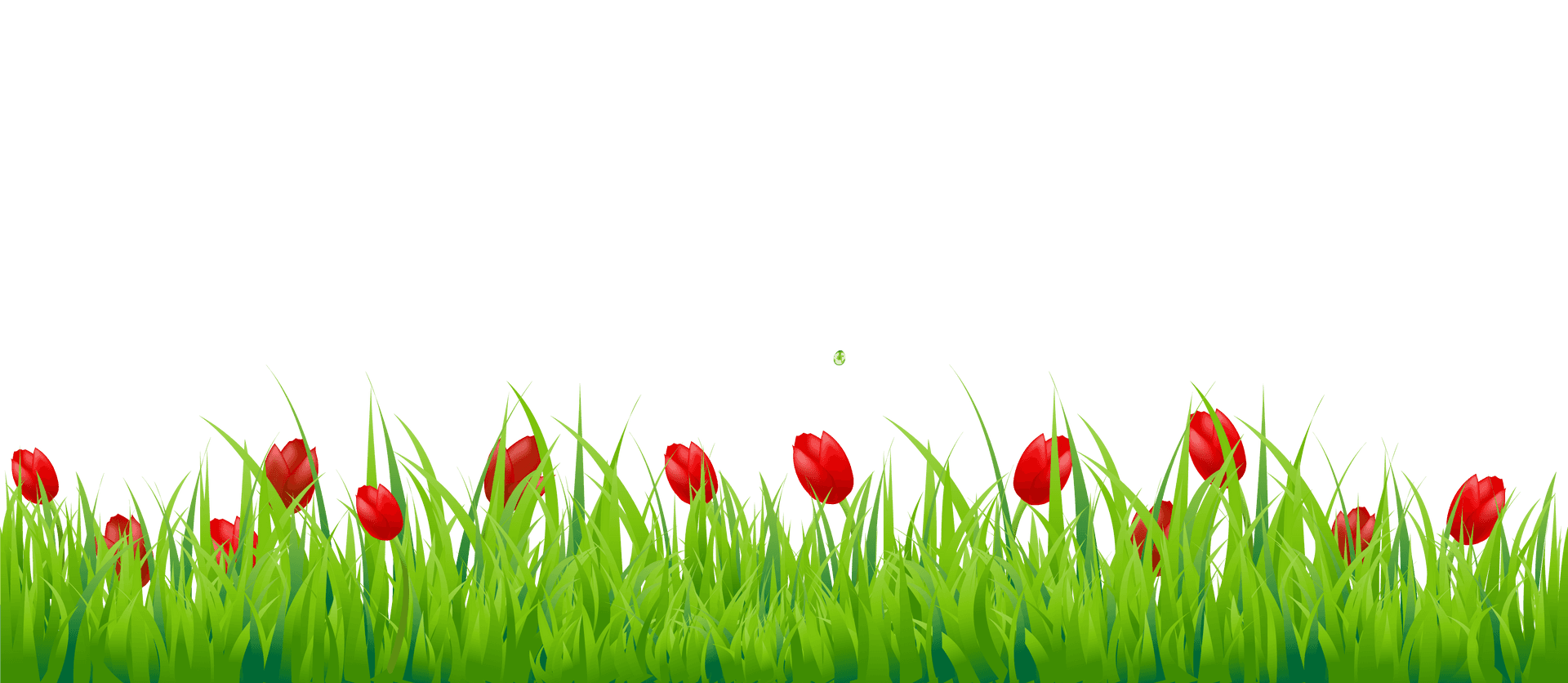 Red Tulipsin Green Grass PNG Image