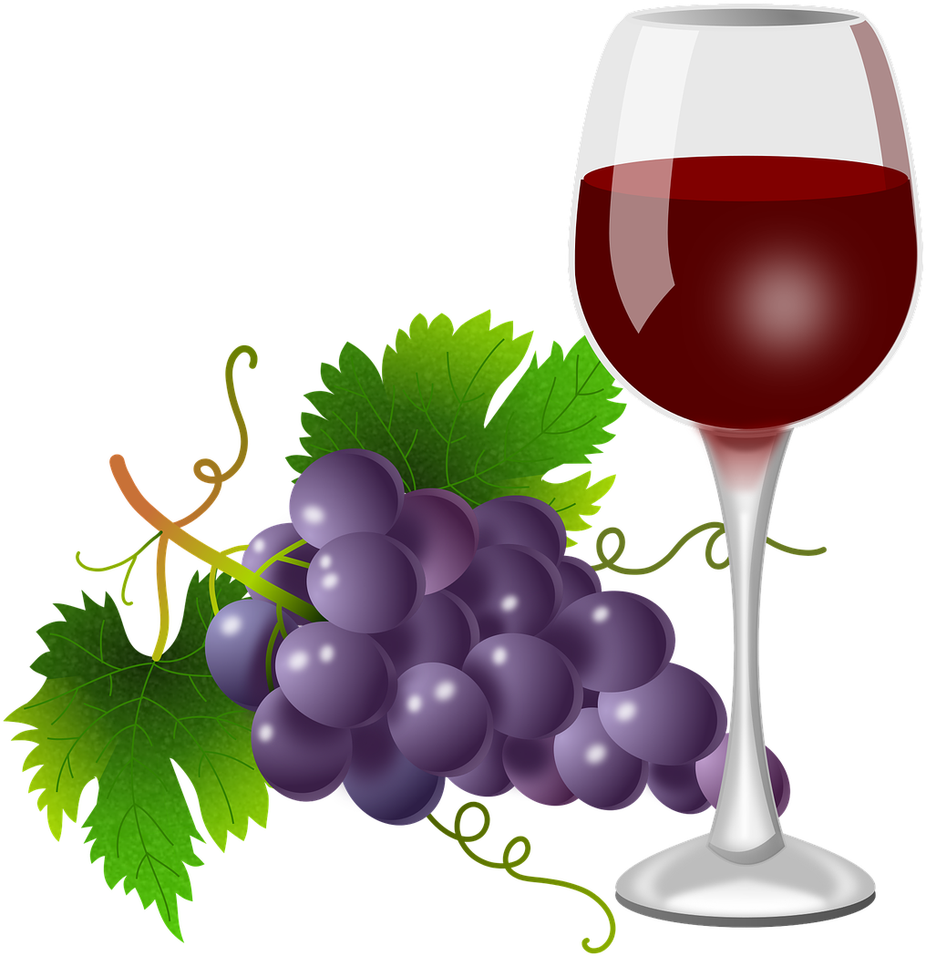 Red Wine Glassand Grapes Illustration PNG Image