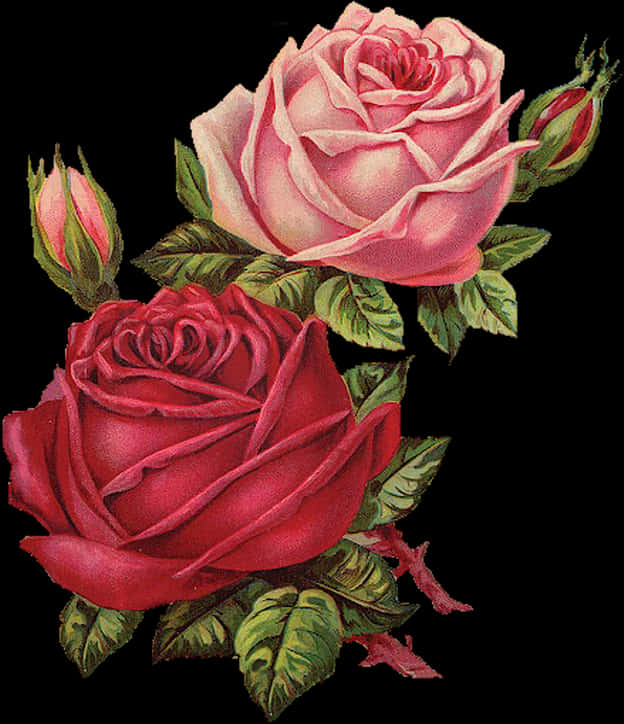 Redand Pink Roses Artwork PNG Image